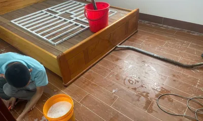 Công trình sofa, nệm và rèm