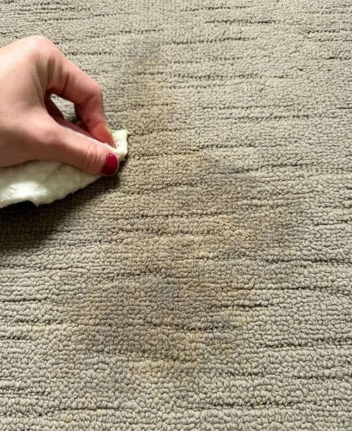 kiểm tra sợi thảm sau khi xử lý vết cà phê