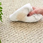 mẹo cách tẩy vết cà phê trên thảm sạch nhanh chóng
