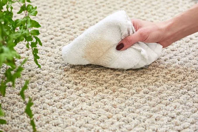 H&igrave;nh ảnh thực tế về C&aacute;ch tẩy vết c&agrave; ph&ecirc; tr&ecirc;n thảm l&agrave; g&igrave;